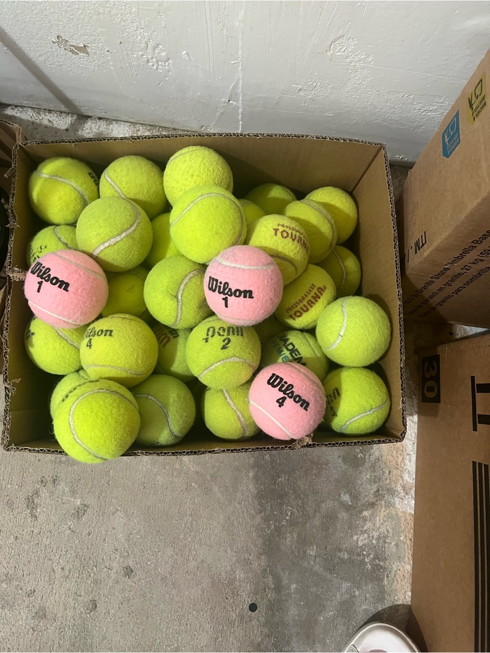 48 tennis balls
